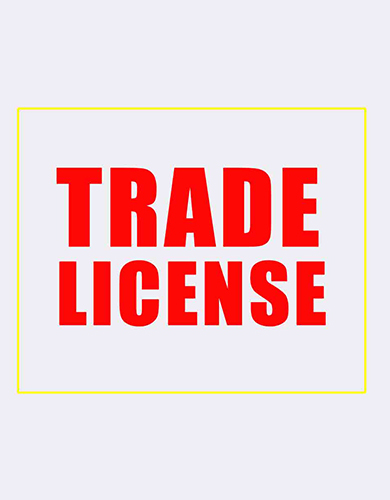 Why You Need Expert Trade License Consultants in Bangalore