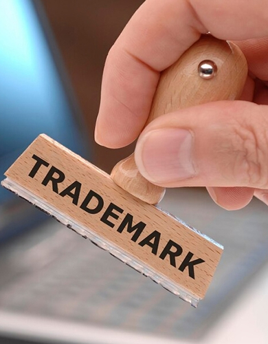 What Need to Register the Brand Logo Trademark Registration Delhi