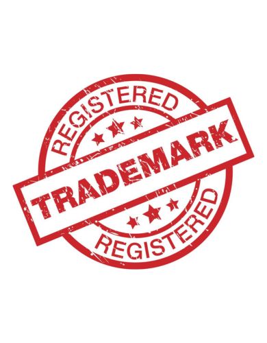 Why Trademark Expert Delhi / Trademark Consultants Delhi is Important